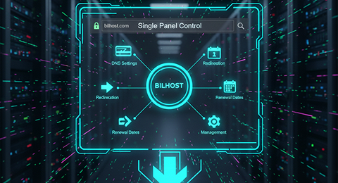 Bilhost kontrol paneli görseli